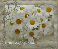 Gr&uuml;&szlig;e f&uuml;r Dich