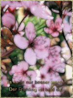 es kann nur besser werden