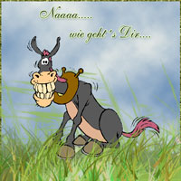 Naaa..wie geht es Dir