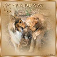 Tierfreundschaft